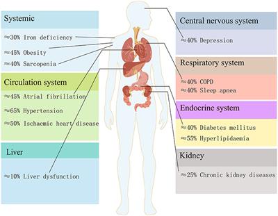 Metabolism and Chronic Inflammation: The Links Between Chronic Heart Failure and Comorbidities